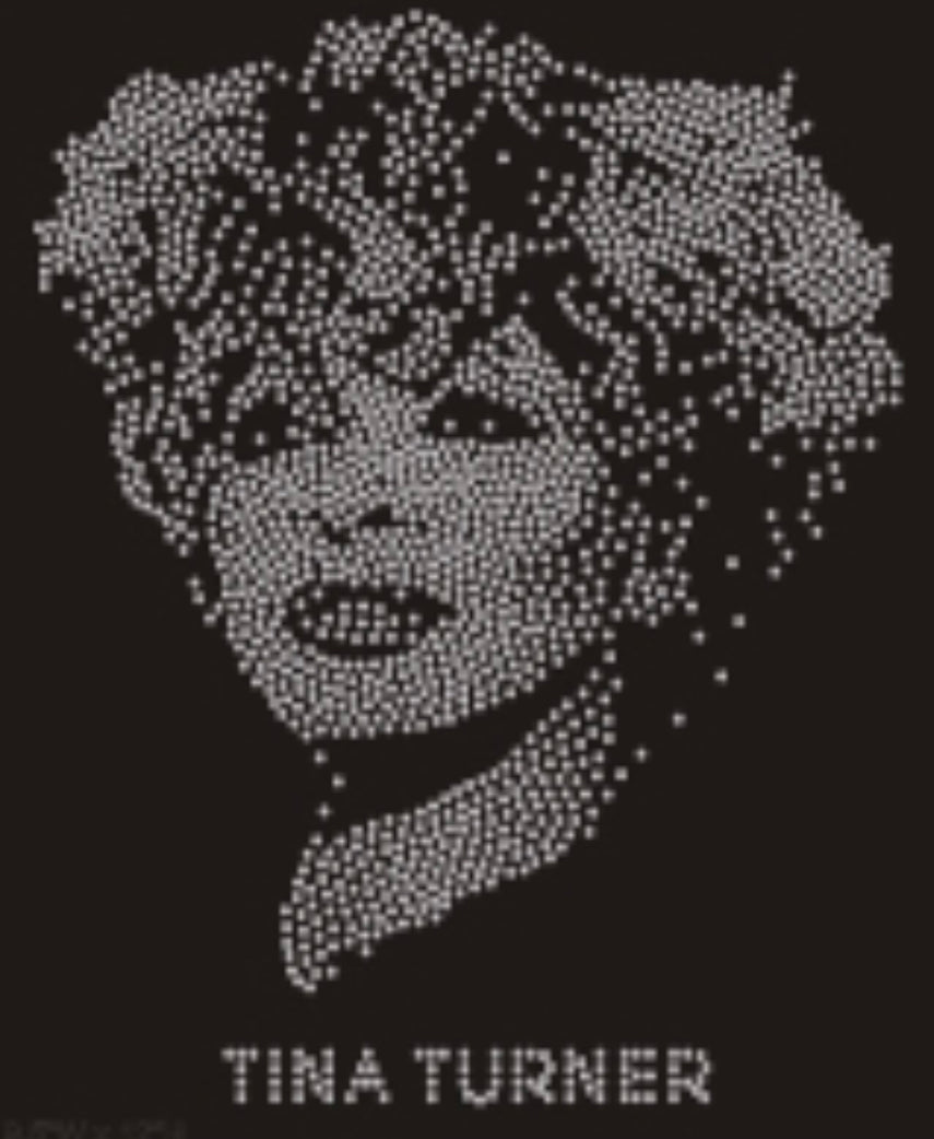 Tina Turner Rhinestone T-shirt; Design-TTURN1